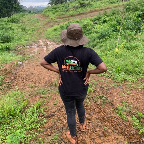 Ideal farmers mission