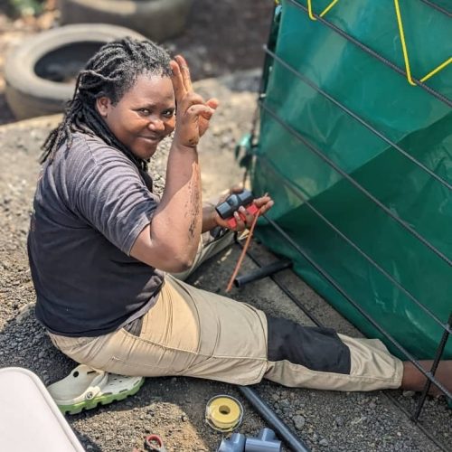 ideal farmers fish tank production