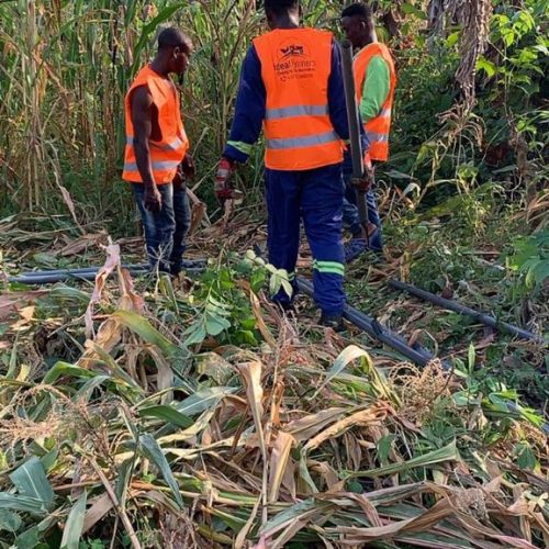 ideal farmers greenhouse construction3